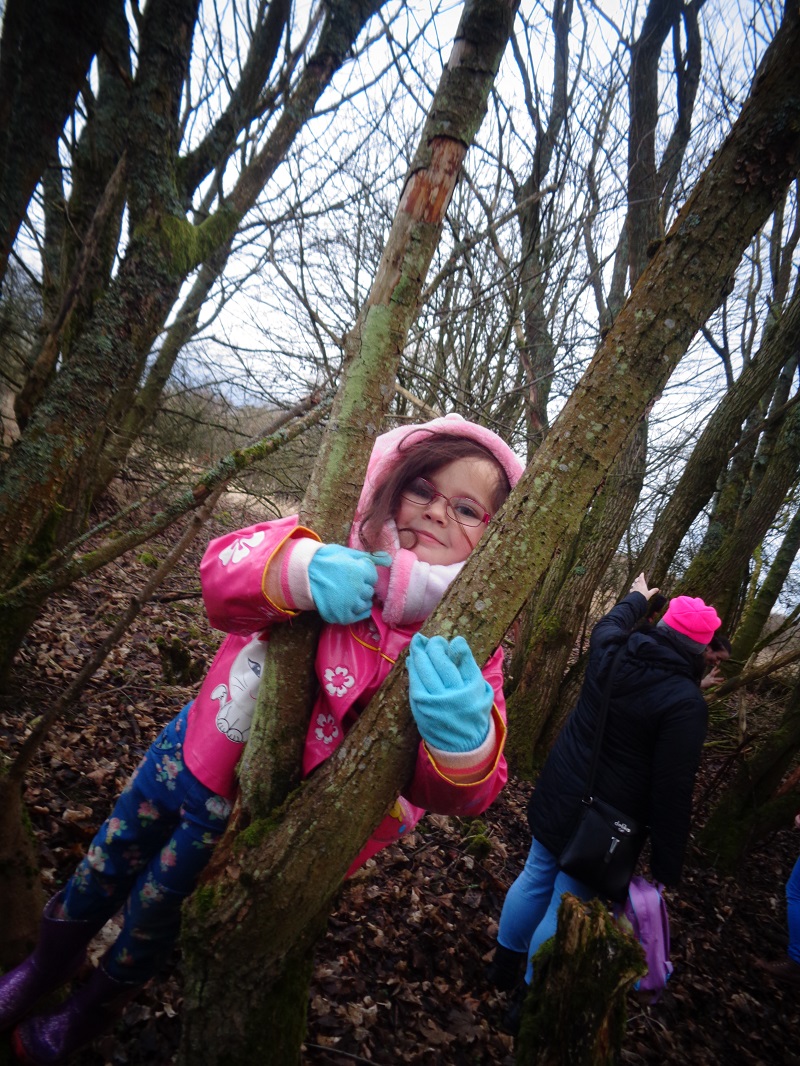 Exploring the tress and climbing the trees